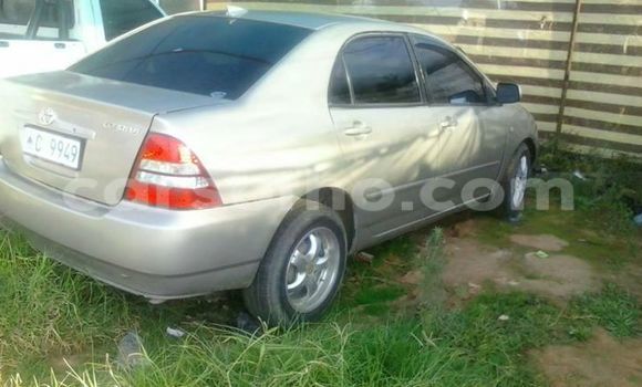 اشتري مستعمل Toyota Corolla Silver سيارة في Maseru في Maseru اشتري مستعمل Toyota Corolla Silver سيارة في Maseru في Maseru