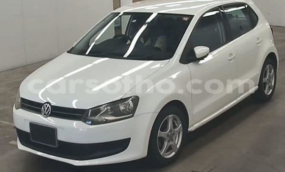 Buy Used Volkswagen Polo White Car in Mafeteng in Mafeteng