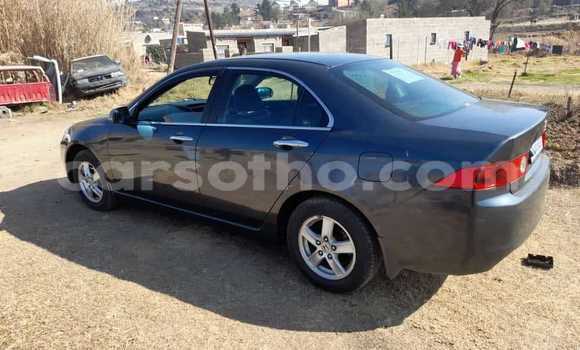 Buy Used Honda Accord Black Car in Import - Dubai in Maseru Buy Used Honda Accord Black Car in Import - Dubai in Maseru