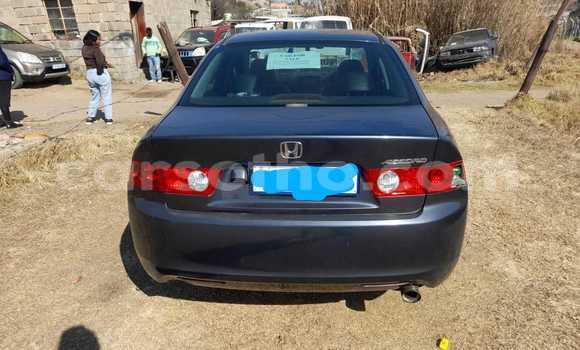 Acheter Occasion Voiture Honda Accord Noir à Import - Dubai, Maseru Acheter Occasion Voiture Honda Accord Noir à Import - Dubai, Maseru