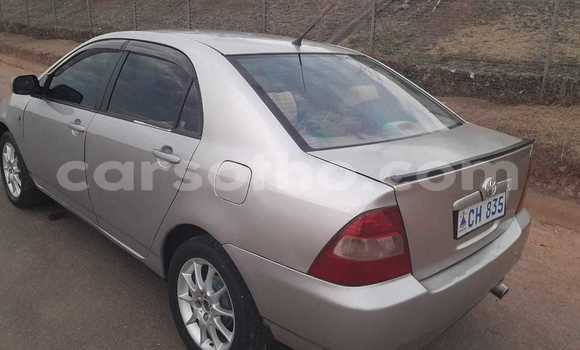 Sayi Na hannu Toyota IST Other Mota in Mafeteng a Mafeteng