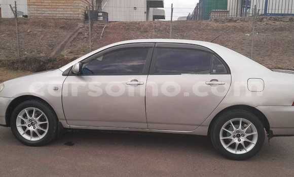 Sayi Na hannu Toyota IST Other Mota in Mafeteng a Mafeteng Sayi Na hannu Toyota IST Other Mota in Mafeteng a Mafeteng