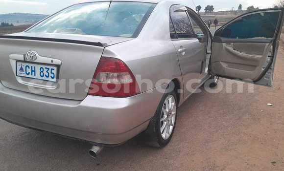 Sayi Na hannu Toyota IST Other Mota in Mafeteng a Mafeteng Sayi Na hannu Toyota IST Other Mota in Mafeteng a Mafeteng