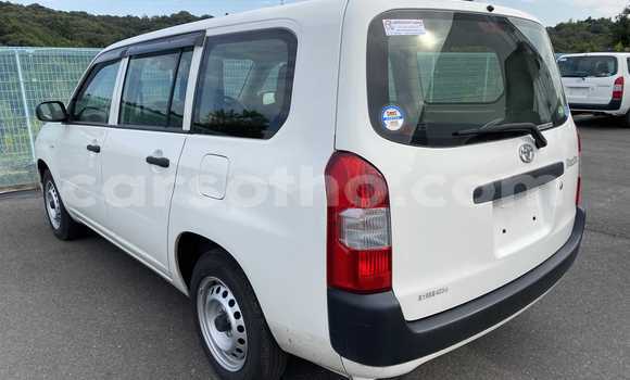 اشتري مستعمل Toyota Probox White سيارة في Maseru في Maseru اشتري مستعمل Toyota Probox White سيارة في Maseru في Maseru