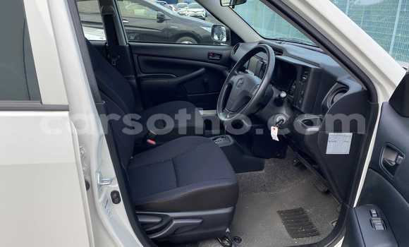 اشتري مستعمل Toyota Probox White سيارة في Maseru في Maseru اشتري مستعمل Toyota Probox White سيارة في Maseru في Maseru