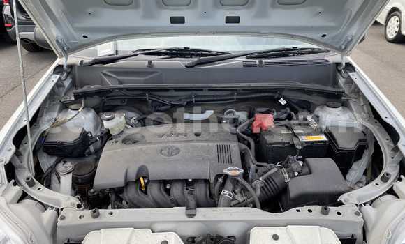 اشتري مستعمل Toyota Probox White سيارة في Maseru في Maseru اشتري مستعمل Toyota Probox White سيارة في Maseru في Maseru