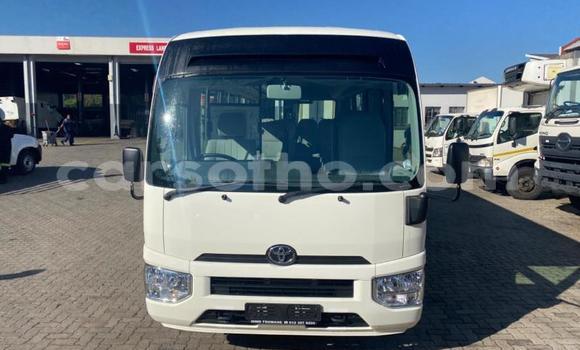 Buy Used Toyota Coaster White Car in Maseru in Maseru Buy Used Toyota Coaster White Car in Maseru in Maseru