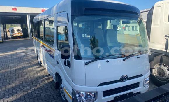 Buy Used Toyota Coaster White Car in Maseru in Maseru Buy Used Toyota Coaster White Car in Maseru in Maseru