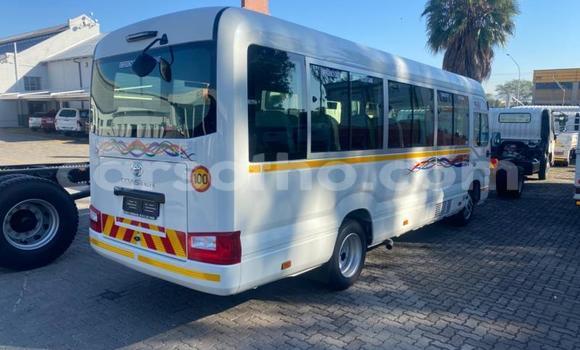 Buy Used Toyota Coaster White Car in Maseru in Maseru Buy Used Toyota Coaster White Car in Maseru in Maseru