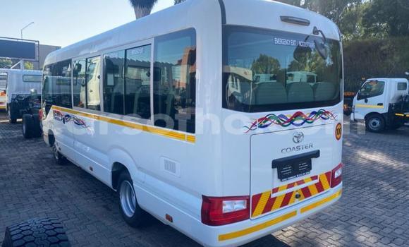 Buy Used Toyota Coaster White Car in Maseru in Maseru Buy Used Toyota Coaster White Car in Maseru in Maseru