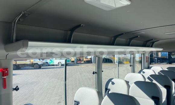 Buy Used Toyota Coaster White Car in Maseru in Maseru Buy Used Toyota Coaster White Car in Maseru in Maseru