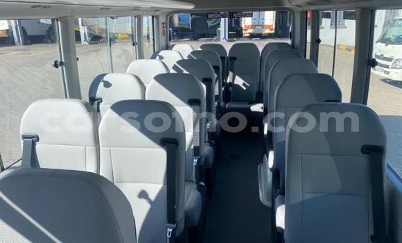 Buy Used Toyota Coaster White Car in Maseru in Maseru Buy Used Toyota Coaster White Car in Maseru in Maseru