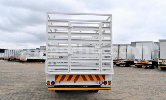 Buy Used Toyota Dyna White Truck in Maseru in Maseru Buy Used Toyota Dyna White Truck in Maseru in Maseru