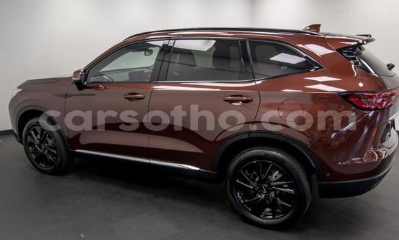 اشتري مستعمل Haval H6 Other سيارة في Maseru في Maseru اشتري مستعمل Haval H6 Other سيارة في Maseru في Maseru