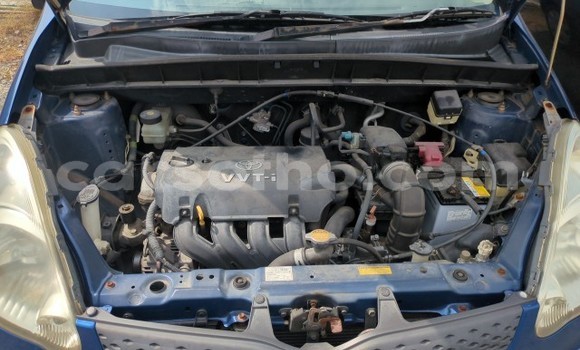 اشتري مستعمل Toyota FunCargo Blue سيارة في Maseru في Maseru اشتري مستعمل Toyota FunCargo Blue سيارة في Maseru في Maseru