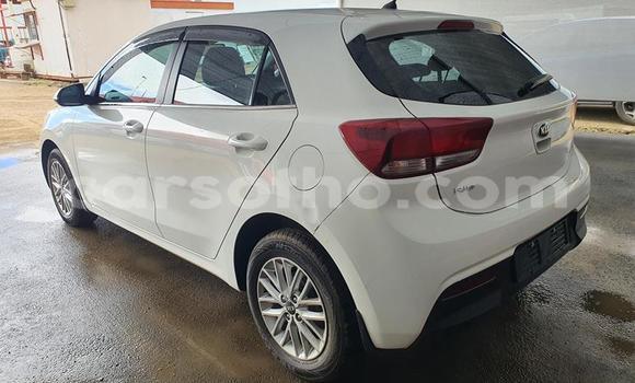 اشتري مستعمل Kia Rio White سيارة في Maseru في Maseru اشتري مستعمل Kia Rio White سيارة في Maseru في Maseru