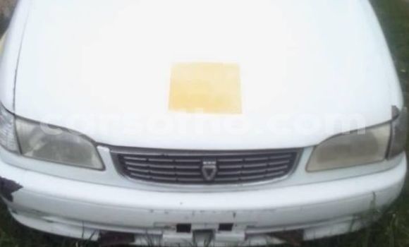 Acheter Occasion Voiture Acura CSX Autre à Maseru, Maseru