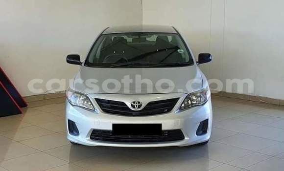 Acheter Occasion Voiture Toyota Corolla Gris à Maseru, Maseru