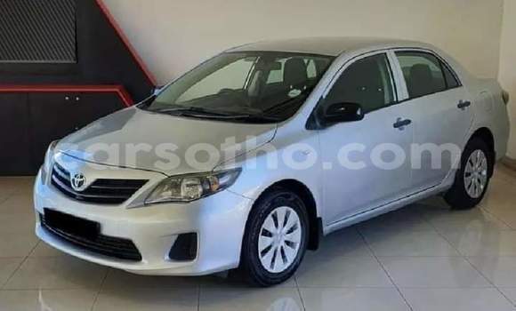 اشتري مستعمل Toyota Corolla Silver سيارة في Maseru في Maseru اشتري مستعمل Toyota Corolla Silver سيارة في Maseru في Maseru