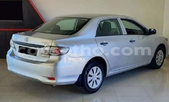 اشتري مستعمل Toyota Corolla Silver سيارة في Maseru في Maseru اشتري مستعمل Toyota Corolla Silver سيارة في Maseru في Maseru