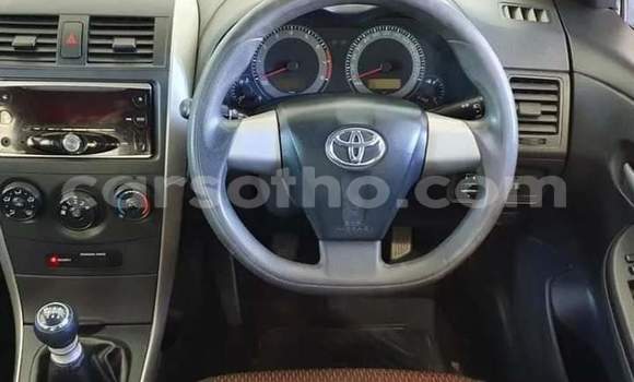اشتري مستعمل Toyota Corolla Silver سيارة في Maseru في Maseru اشتري مستعمل Toyota Corolla Silver سيارة في Maseru في Maseru