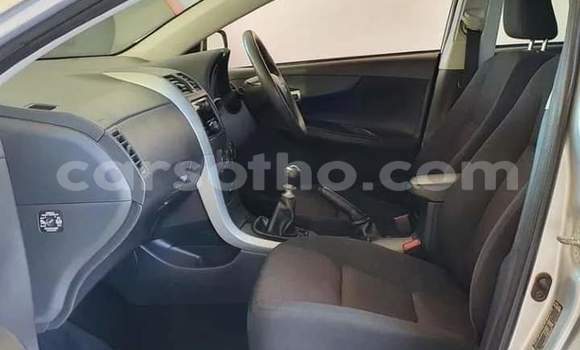 اشتري مستعمل Toyota Corolla Silver سيارة في Maseru في Maseru اشتري مستعمل Toyota Corolla Silver سيارة في Maseru في Maseru
