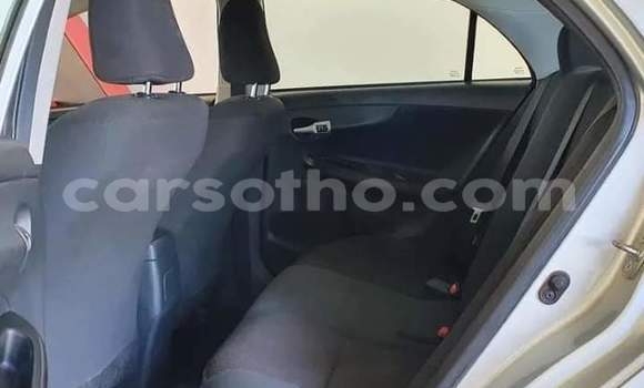 اشتري مستعمل Toyota Corolla Silver سيارة في Maseru في Maseru اشتري مستعمل Toyota Corolla Silver سيارة في Maseru في Maseru