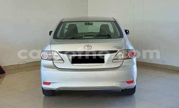 اشتري مستعمل Toyota Corolla Silver سيارة في Maseru في Maseru اشتري مستعمل Toyota Corolla Silver سيارة في Maseru في Maseru