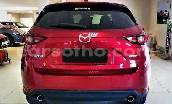 Buy Used Mazda CX-5 Red Car in Maseru in Maseru Buy Used Mazda CX-5 Red Car in Maseru in Maseru