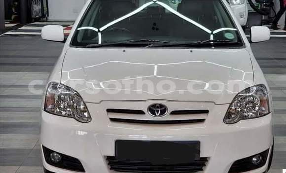 اشتري مستعمل Toyota Runx White سيارة في Maseru في Maseru اشتري مستعمل Toyota Runx White سيارة في Maseru في Maseru