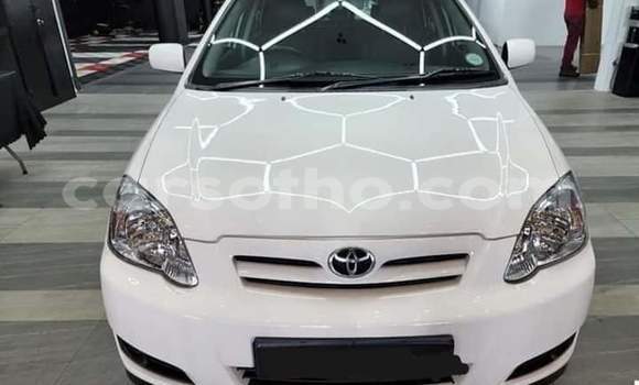 اشتري مستعمل Toyota Runx White سيارة في Maseru في Maseru اشتري مستعمل Toyota Runx White سيارة في Maseru في Maseru