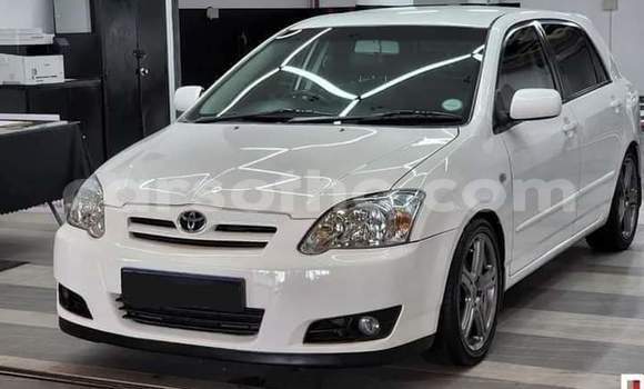 اشتري مستعمل Toyota Runx White سيارة في Maseru في Maseru اشتري مستعمل Toyota Runx White سيارة في Maseru في Maseru