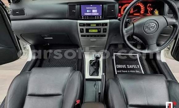 اشتري مستعمل Toyota Runx White سيارة في Maseru في Maseru اشتري مستعمل Toyota Runx White سيارة في Maseru في Maseru