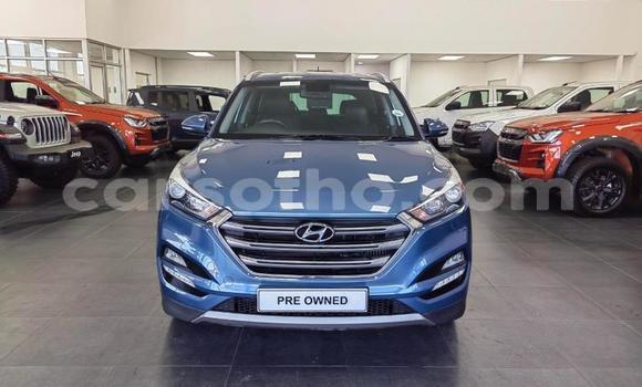 اشتري مستعمل Hyundai Tucson Blue سيارة في Maseru في Maseru اشتري مستعمل Hyundai Tucson Blue سيارة في Maseru في Maseru