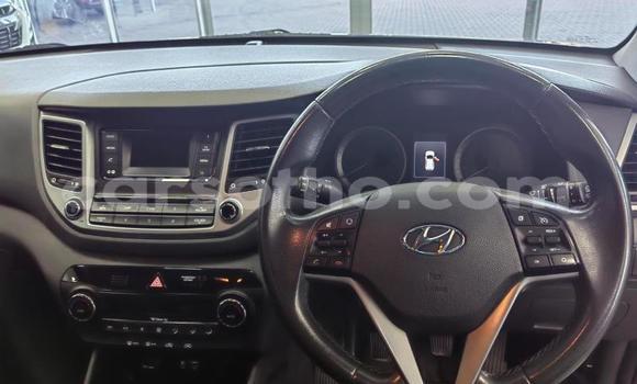 اشتري مستعمل Hyundai Tucson Blue سيارة في Maseru في Maseru اشتري مستعمل Hyundai Tucson Blue سيارة في Maseru في Maseru