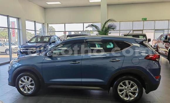 اشتري مستعمل Hyundai Tucson Blue سيارة في Maseru في Maseru اشتري مستعمل Hyundai Tucson Blue سيارة في Maseru في Maseru