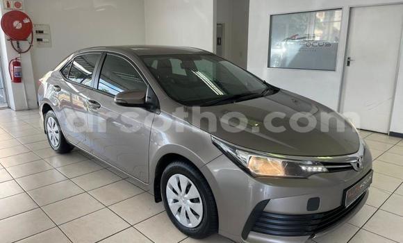 اشتري مستعمل Toyota Corolla Silver سيارة في Maseru في Maseru