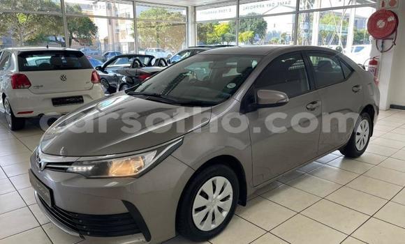 Buy Used Toyota Corolla Silver Car in Maseru in Maseru Buy Used Toyota Corolla Silver Car in Maseru in Maseru