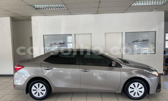 Buy Used Toyota Corolla Silver Car in Maseru in Maseru Buy Used Toyota Corolla Silver Car in Maseru in Maseru