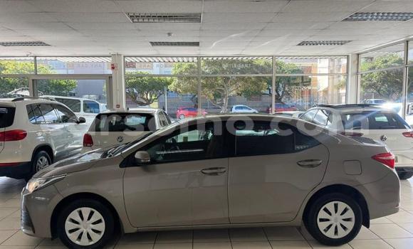 Buy Used Toyota Corolla Silver Car in Maseru in Maseru Buy Used Toyota Corolla Silver Car in Maseru in Maseru