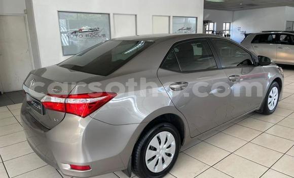 Buy Used Toyota Corolla Silver Car in Maseru in Maseru Buy Used Toyota Corolla Silver Car in Maseru in Maseru