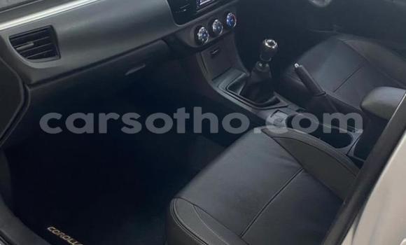 Buy Used Toyota Corolla Silver Car in Maseru in Maseru Buy Used Toyota Corolla Silver Car in Maseru in Maseru