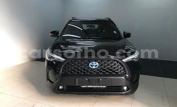 اشتري مستعمل Toyota Corolla Cross Black سيارة في Maseru في Maseru اشتري مستعمل Toyota Corolla Cross Black سيارة في Maseru في Maseru