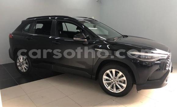 اشتري مستعمل Toyota Corolla Cross Black سيارة في Maseru في Maseru اشتري مستعمل Toyota Corolla Cross Black سيارة في Maseru في Maseru