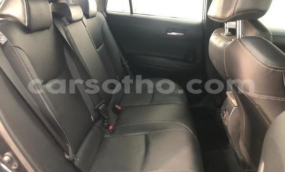 اشتري مستعمل Toyota Corolla Cross Black سيارة في Maseru في Maseru اشتري مستعمل Toyota Corolla Cross Black سيارة في Maseru في Maseru