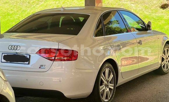 اشتري مستعمل Audi A4 Other سيارة في Maseru في Maseru
