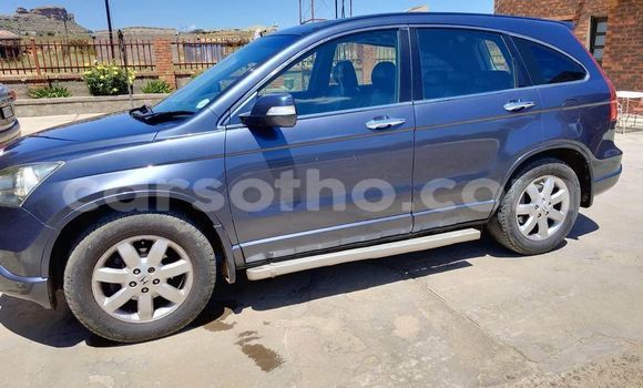 Buy Used Honda CR–V Other Car in Maseru in Maseru Buy Used Honda CR–V Other Car in Maseru in Maseru