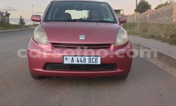 Sayi Na hannu Toyota Passo Other Mota in Mafeteng a Mafeteng Sayi Na hannu Toyota Passo Other Mota in Mafeteng a Mafeteng