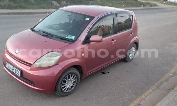 Sayi Na hannu Toyota Passo Other Mota in Mafeteng a Mafeteng Sayi Na hannu Toyota Passo Other Mota in Mafeteng a Mafeteng