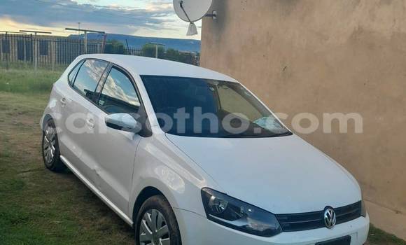 اشتري مستعمل Volkswagen Polo Other سيارة في Mafeteng في Mafeteng اشتري مستعمل Volkswagen Polo Other سيارة في Mafeteng في Mafeteng